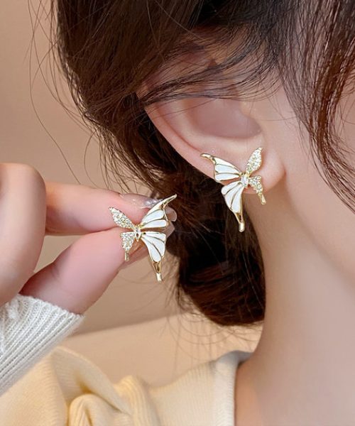 WhatsApp-Image-2025-03-01-at-3.19.45-PM